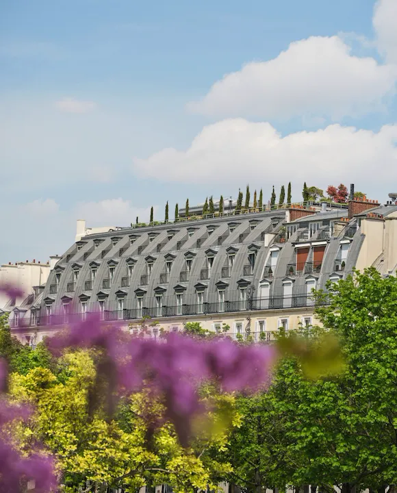 View on the roof of the hotel with in first plan the trees and violet flowers, at Le Meurice, Paris