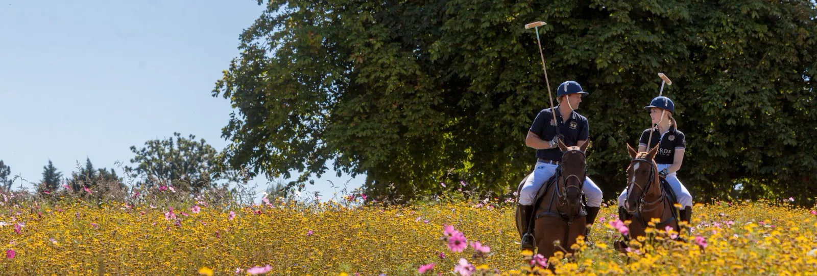 2 polo players and horses trotting through yellow floral meadow at Coworth Park