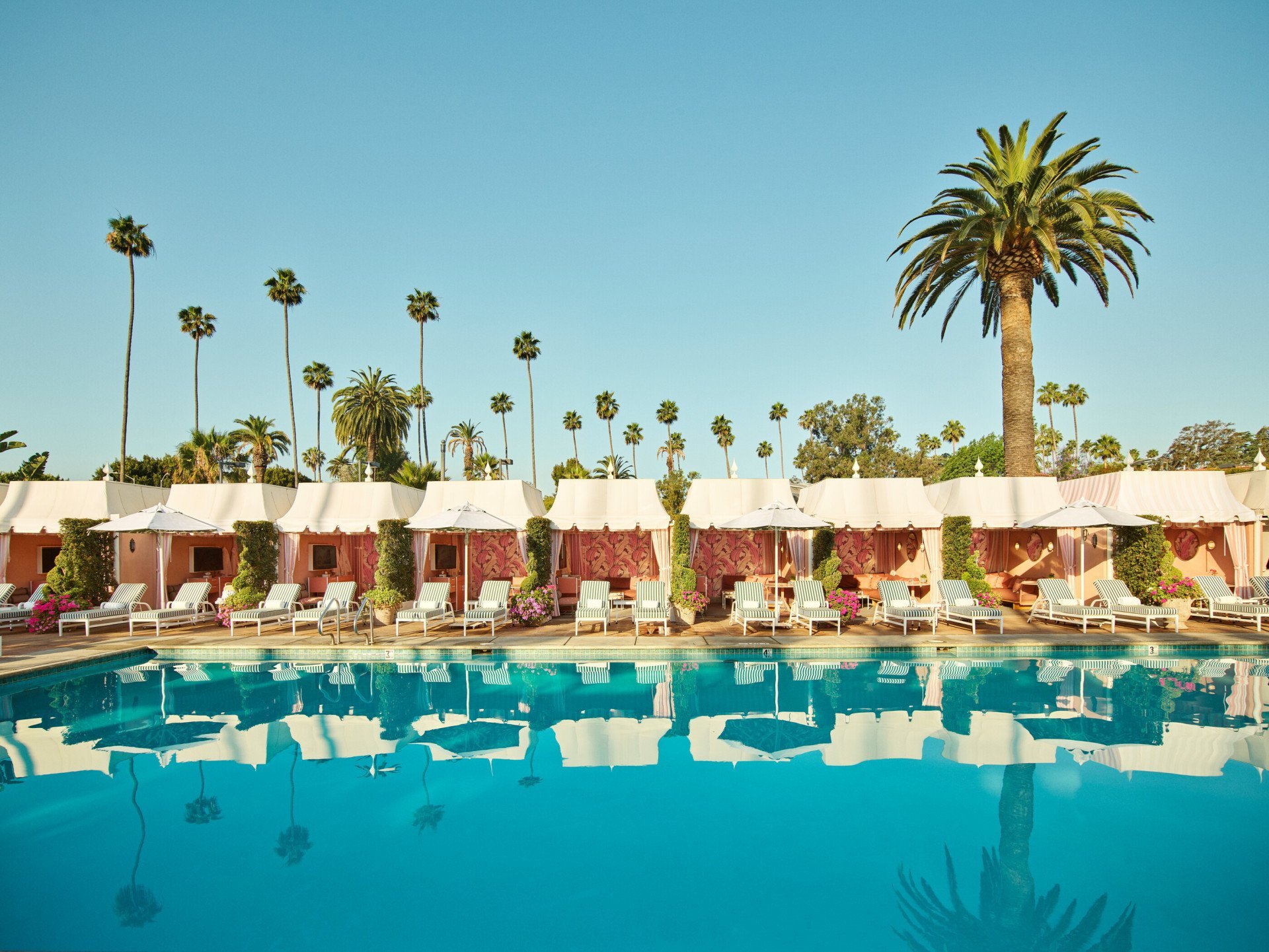 Pool at The Beverly Hills Hotel | Dorchester Collection