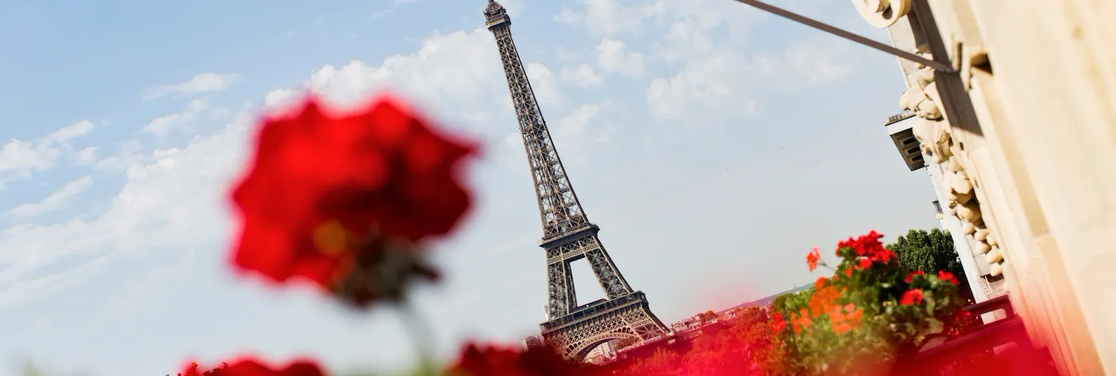 View of Eiffel Tower from balcony with red flowers in foreground at Hôtel Plaza Athénée, Paris