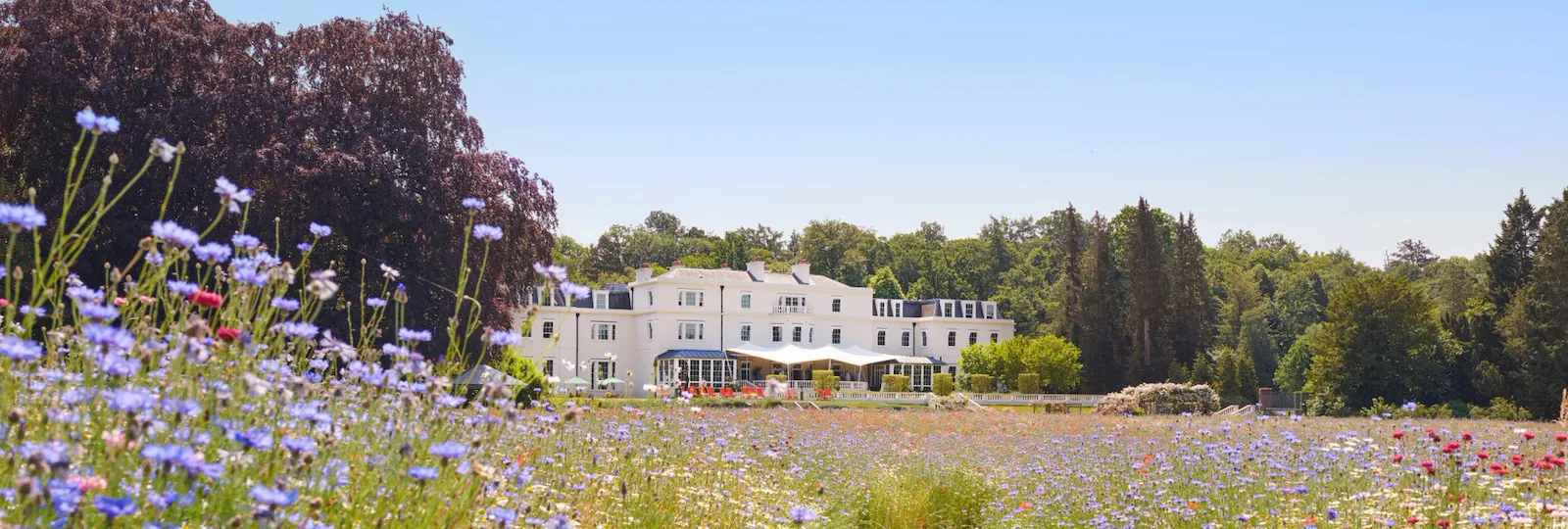 The Meadow at Coworth Park in the Summer