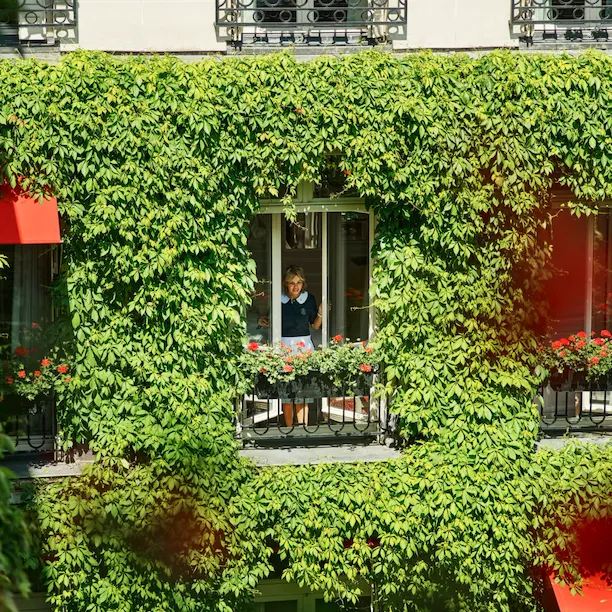 Maid in uniform seen from a room window and surrounded by the green vine of La Cour Jardin Courtyard, at Hotel Plaza Athénée, Paris